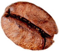 med roasting